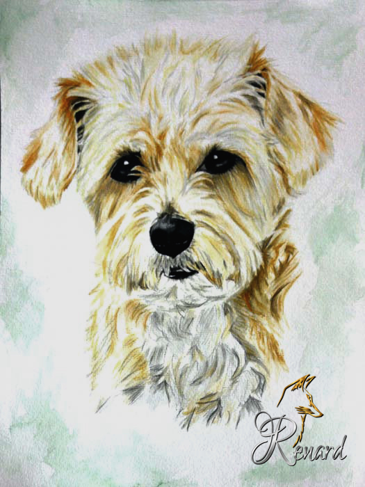 Aquarell kleiner Hund